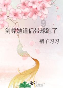 生化危机：浣熊市行动