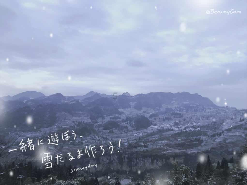 拯救枯树