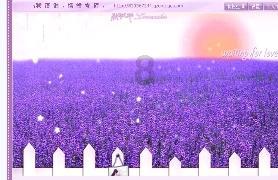 逗小猴开心系列169